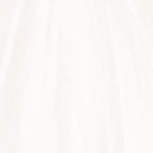 Applique Sheer Skirt Wedding Gown by Adrianna Papell 31262