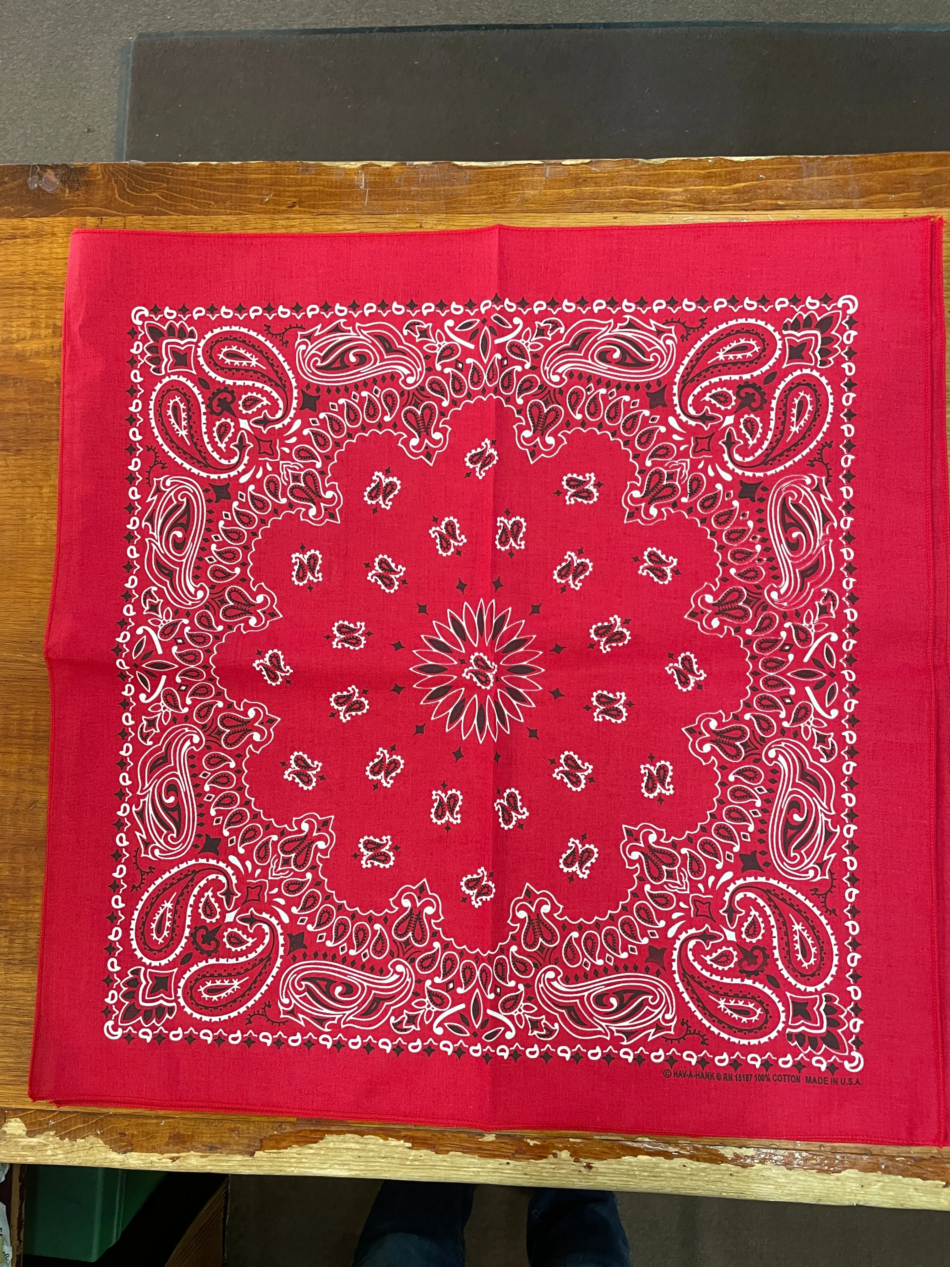 Austin Accents® Paisley Print Cotton Bandana - 21" x 21"