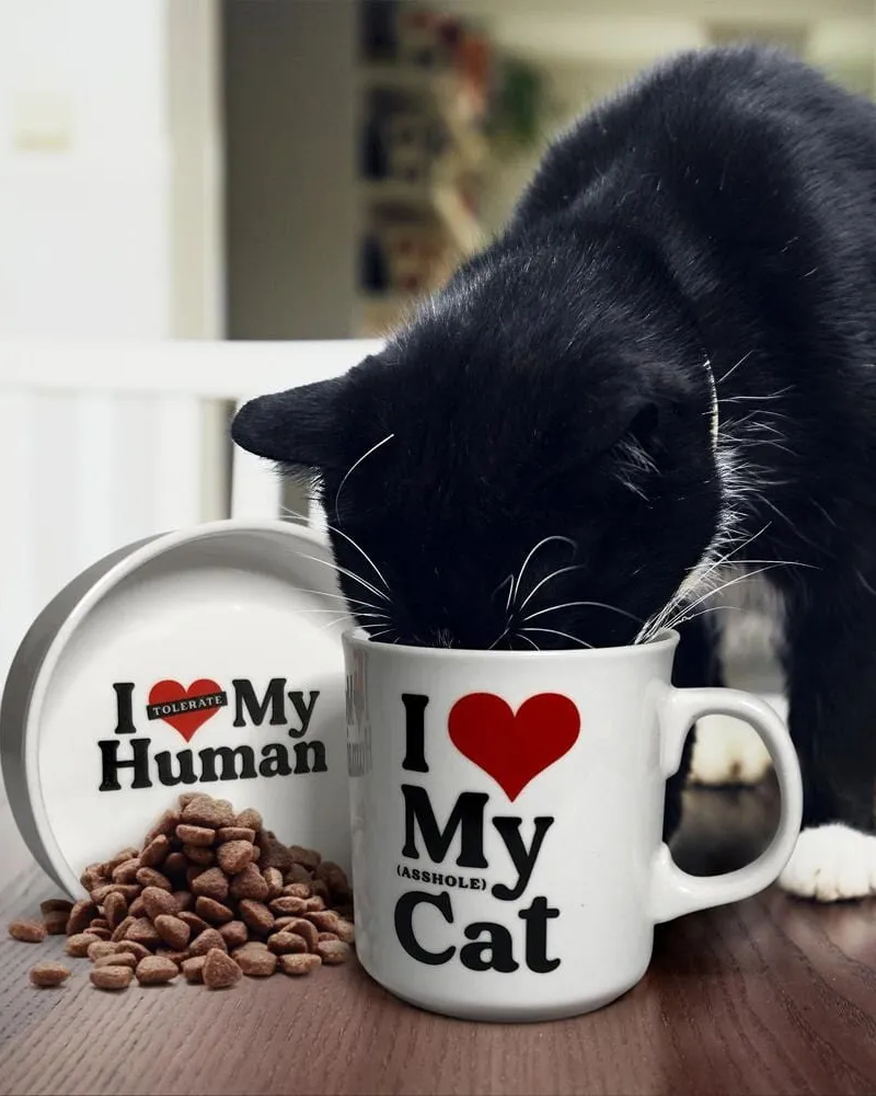 Ceramic Mug & Cat Bowl Set