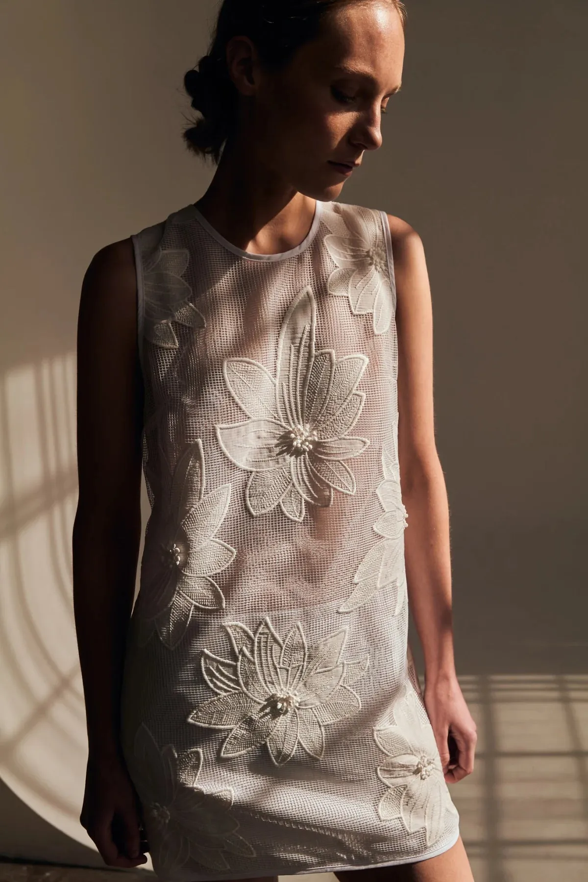 LE SUPERBE~ Enlightened shifter dress