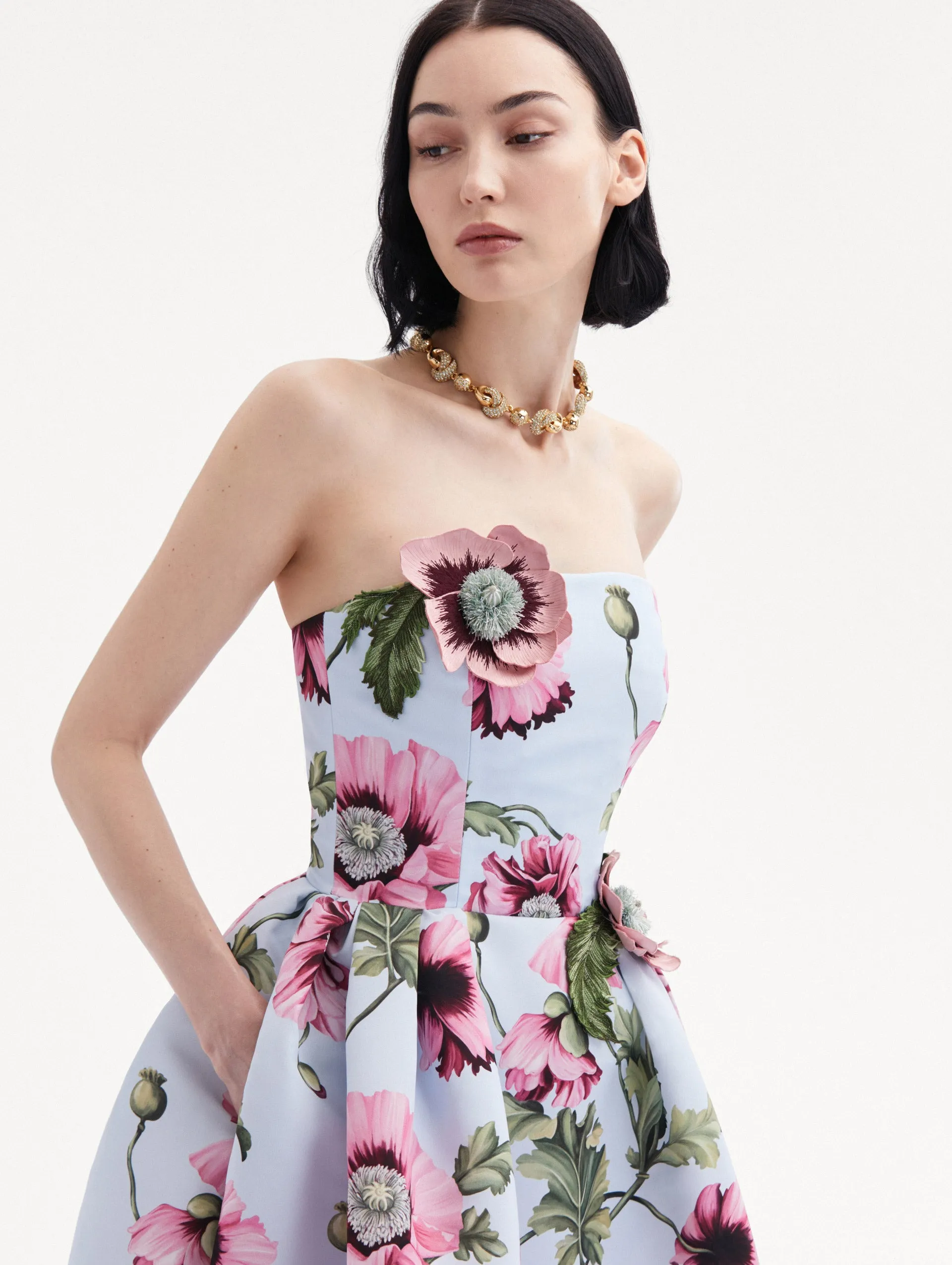 Poppy Embroidered Strapless Dress